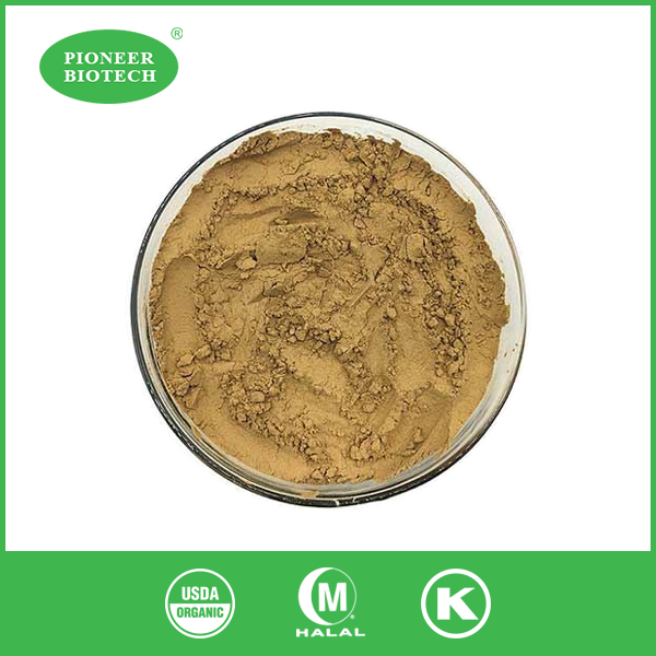 olive leaf extract powder bulk
